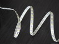 5050 led strip light 2