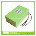 Lifepo4 48v 10ah Battery pack for 900w E-bike 3