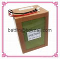 A123 Battery pack 36v 20ah 12S1P for