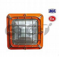 explosion proof light 36W