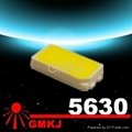 5630 SMD LED 55-60LM Epistar chip inside 1