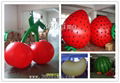 Varity Cool Design Inflatable Balloon 5