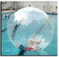 Hot Selling Cheap Different type Inflatable Water Ball, Water Walker 5