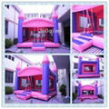 Hot Inflatable Bouncy Castle 3