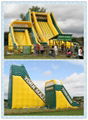 Custom Design Inflatable Slide , Wet/Dry Slide 2