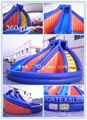 Custom Design Inflatable Slide , Wet/Dry Slide 3