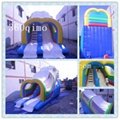Custom Design Inflatable Slide , Wet/Dry Slide 5