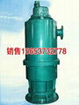BQS37KW排污排沙潜水泵 2