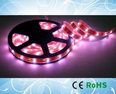 60pcs RGB SMD5050 LED Strip 