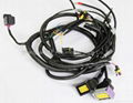 ECU wire harness 1