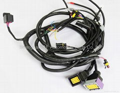 ECU wire harness