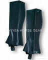 Leather Half Chaps  1