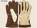 Riding Gloves 1