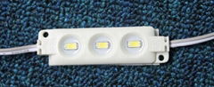 LED Module / Injection Module / 3led