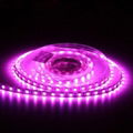 LED RGB Strip Light / 150led SMD5050 2