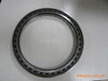 The professional supplier of excavator bearing 2