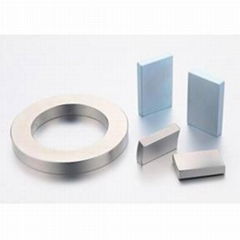 neodymium magnets for oil field motors