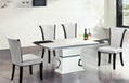 dining chairs and table