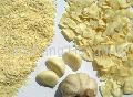 Dehydrated garlic products