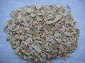 dehydrated horseradish flakes 1