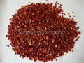 chilli crushed, chilli powder 1