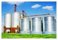 Grain Storage Silo with Hopper Bottom