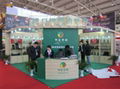 China olive oil expo  4