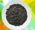 nut shell activated carbon 1