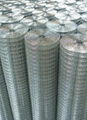 wire mesh