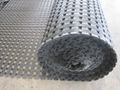 High quality Biaxial geogrid for road construction 3