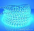 Led rope lamp, Solid Silicon cover waterproof 1