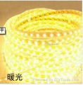 Led rope lamp, Solid Silicon cover waterproof 2