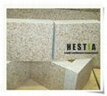 G350 Desert Gold Granite Tiles 