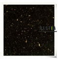 Black Galaxy Granite Slabs 1