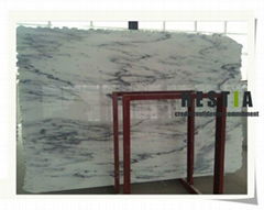 Sino Bianco Landscape Marble Slabs