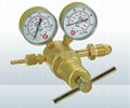 High Pressure Regulator