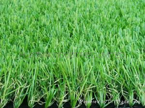 landscaping grass,turf