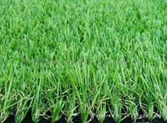 landscaping grass,turf