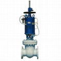 Pneumatic Gate Valve 1