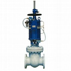 Pneumatic Gate Valve