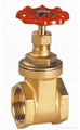 Brass gate valve 