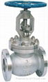 JIS Globe Valve Cast Steel 1