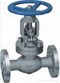 JIS Globe Valve Cast Steel 3