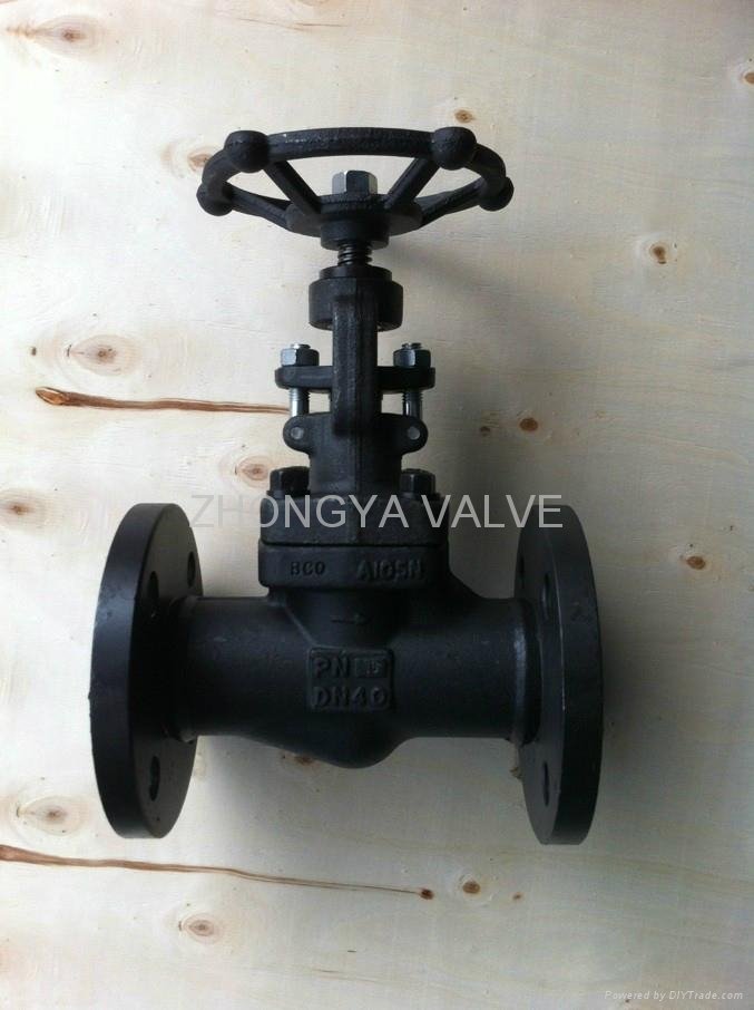 Forged Steel A105 Gate Valve 800LB 2
