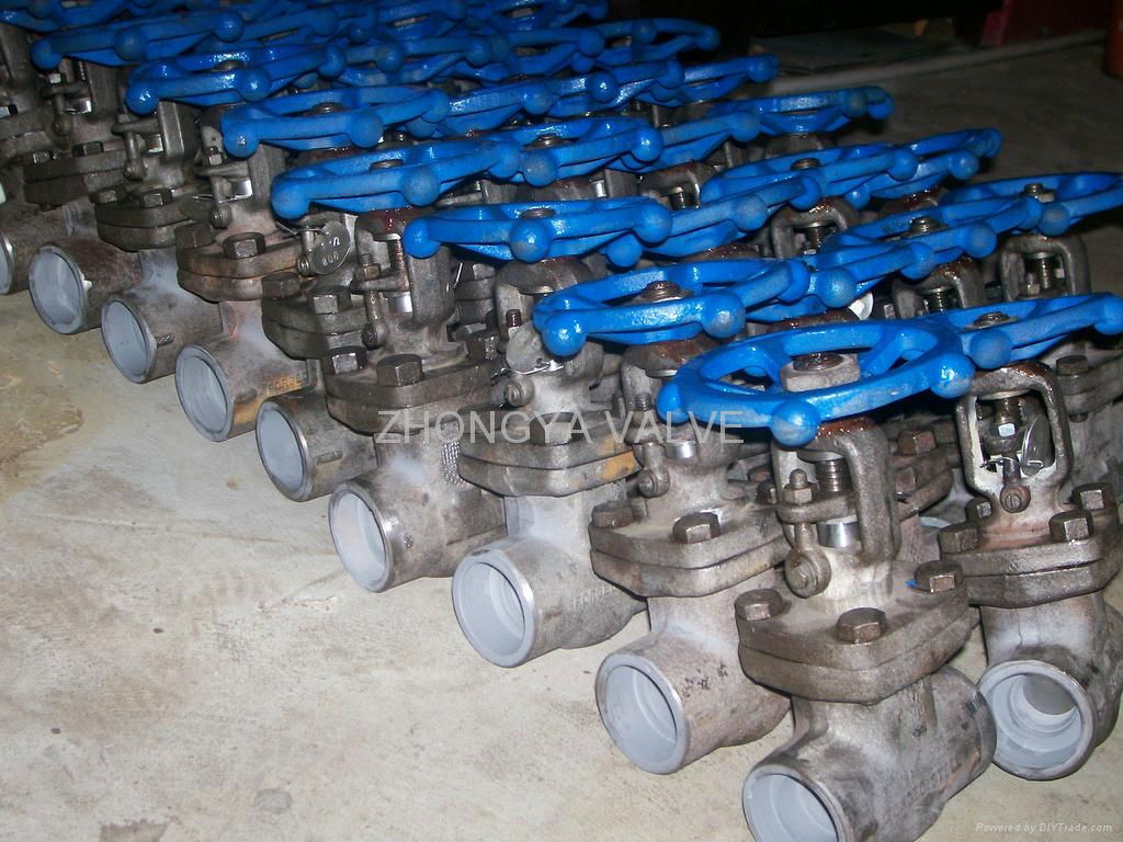 Forged Steel A105 Gate Valve 800LB 5