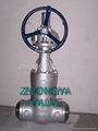 Power Station BW Gate Valve 1500LB  1