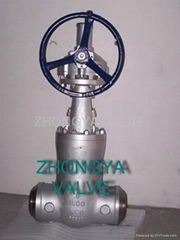 Power Station BW Gate Valve 1500LB