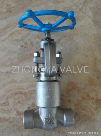 Power Station BW Gate Valve 1500LB  2