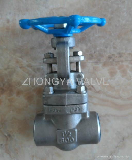 Power Station BW Gate Valve 1500LB  3