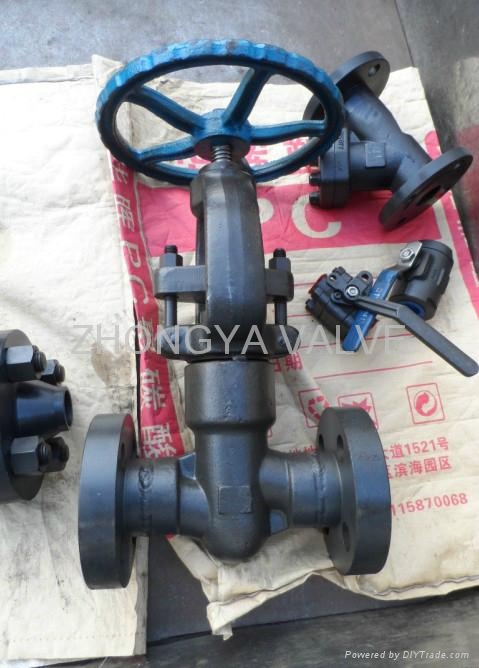 Power Station BW Gate Valve 1500LB  4